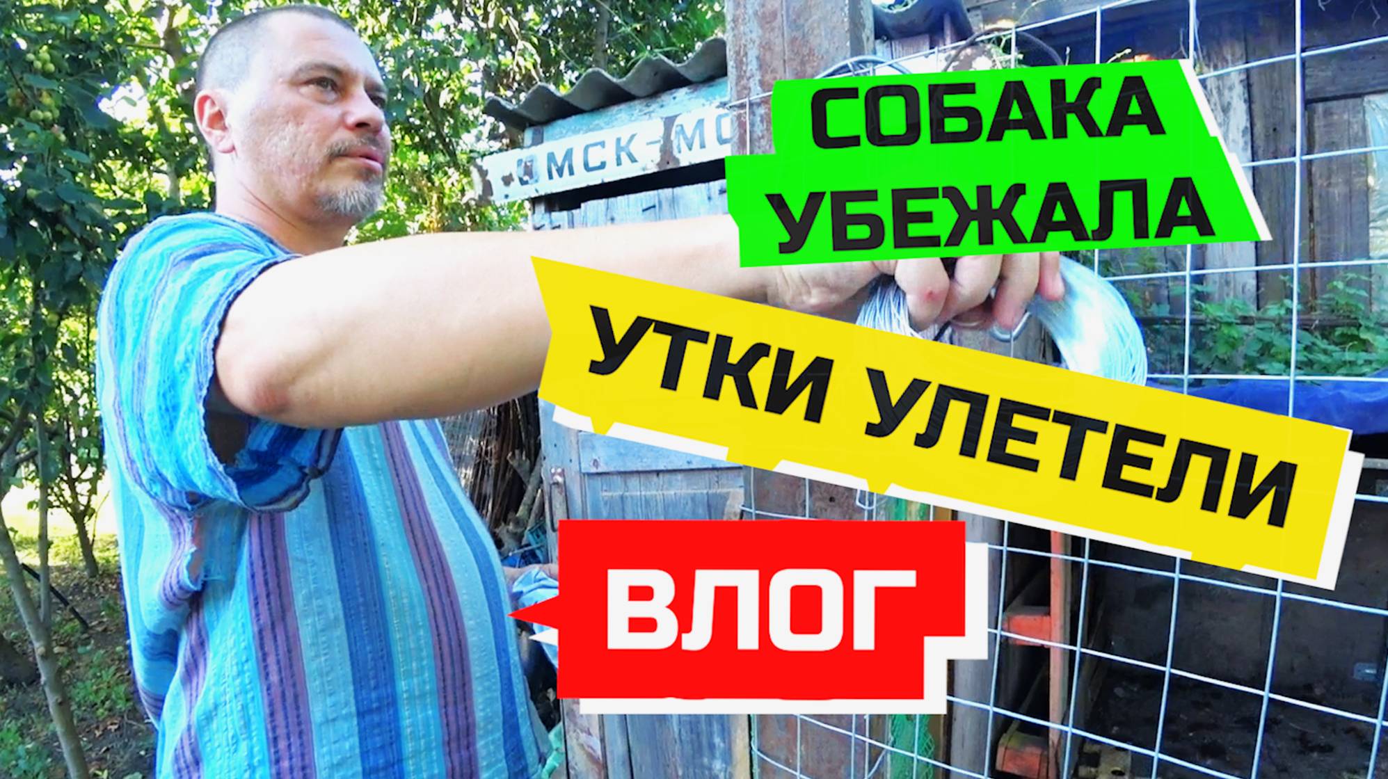 961 ВЛОГ ЗА НЕДЕЛЮ. СОБАКА УБЕЖАЛА. УТКИ УЛЕТЕЛИ, ВЕЛИК ПОЧИНИЛИ, УРОЖАЙ СОБРАЛИ.