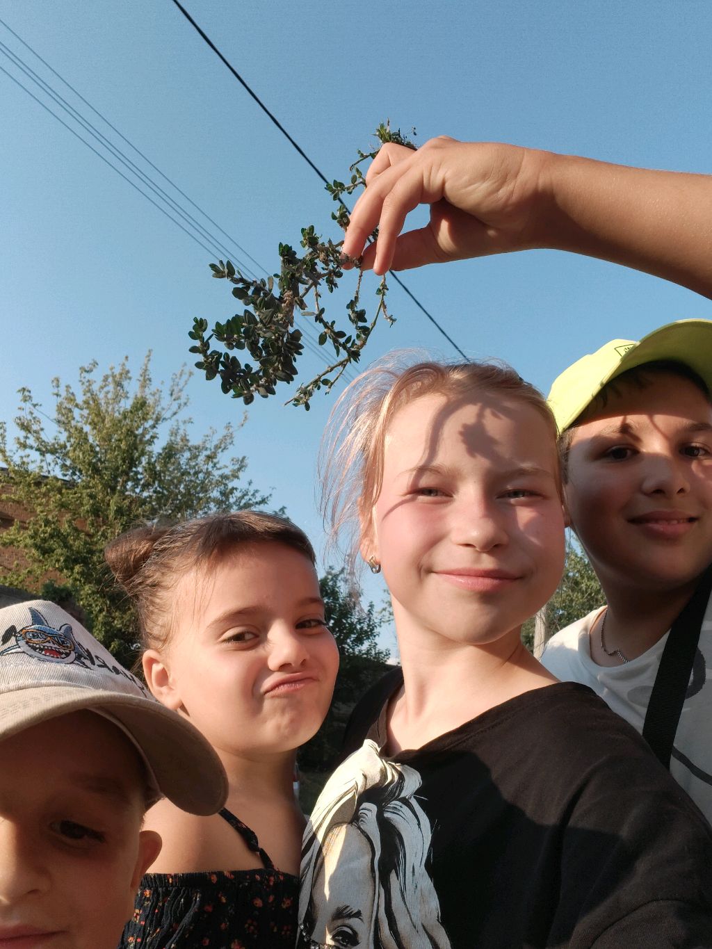 друзея