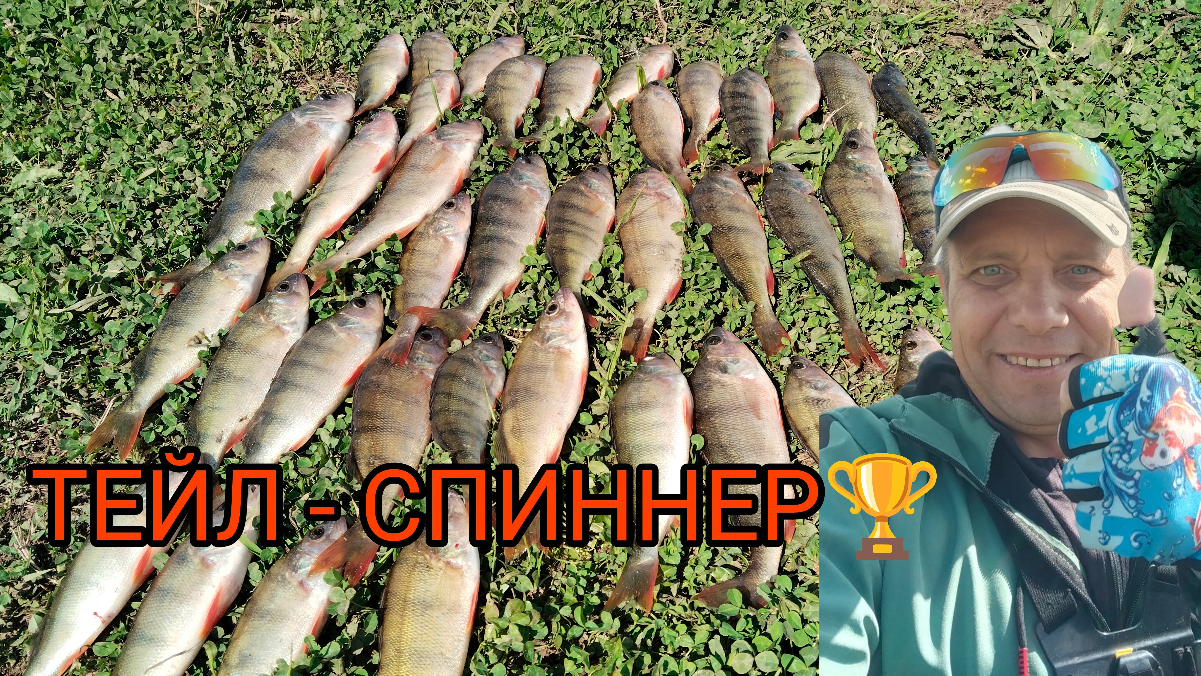 САМАЯ УЛОВИСТАЯ ПРОВОДКА на ТЕЙЛ СПИННЕР. ОКУНЬ НА КАЖДОМ ЗАБРОСЕ