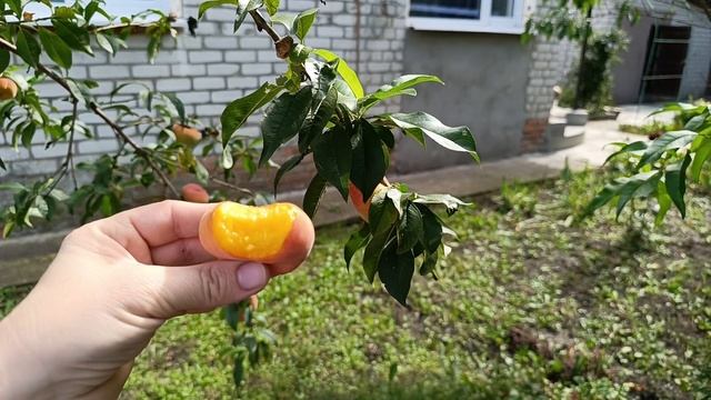 Большой ремонт.Сделаем жилой дом из развалюшки. Заливаем полы, пробиваем в стенах дверные проёмы.