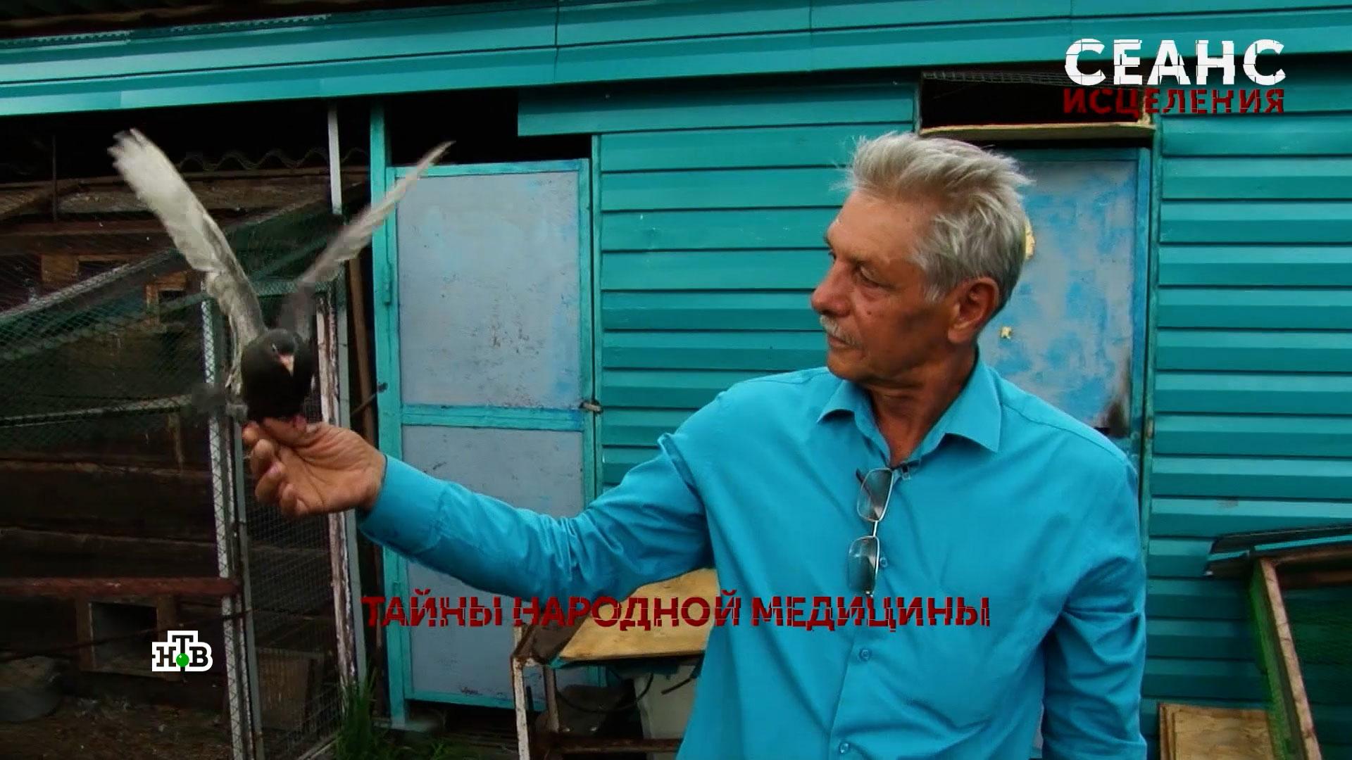 «Сеанс исцеления». 3 серия | «Основано на реальных событиях»