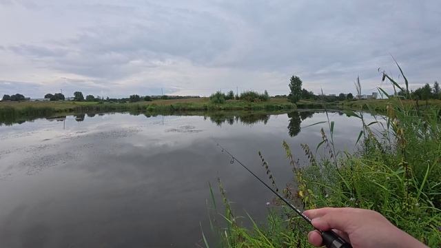 МОРМЫШИНГ. Карась и окунь на пруду.