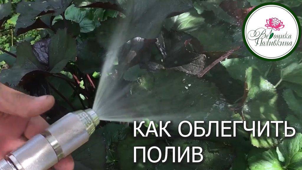 КАК ОБЛЕГЧИТЬ ПОЛИВ И ПОДКОРМКУ РАСТЕНИЙ В САДУ