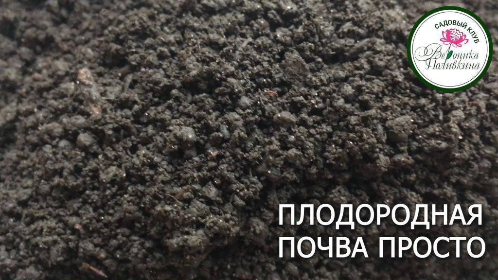 ПРОСТОЙ СПОСОБ ПОВЫСИТЬ ПЛОДОРОДИЕ ПОЧВЫ НА УЧАСТКЕ
