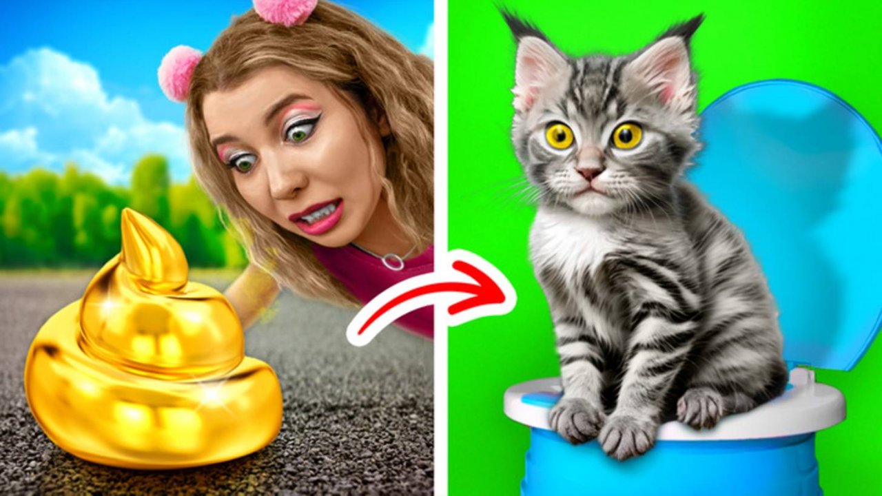 Спасли кошку от кариеса 🐾 Лучшие поделки и игрушки для котиков 🎲💖