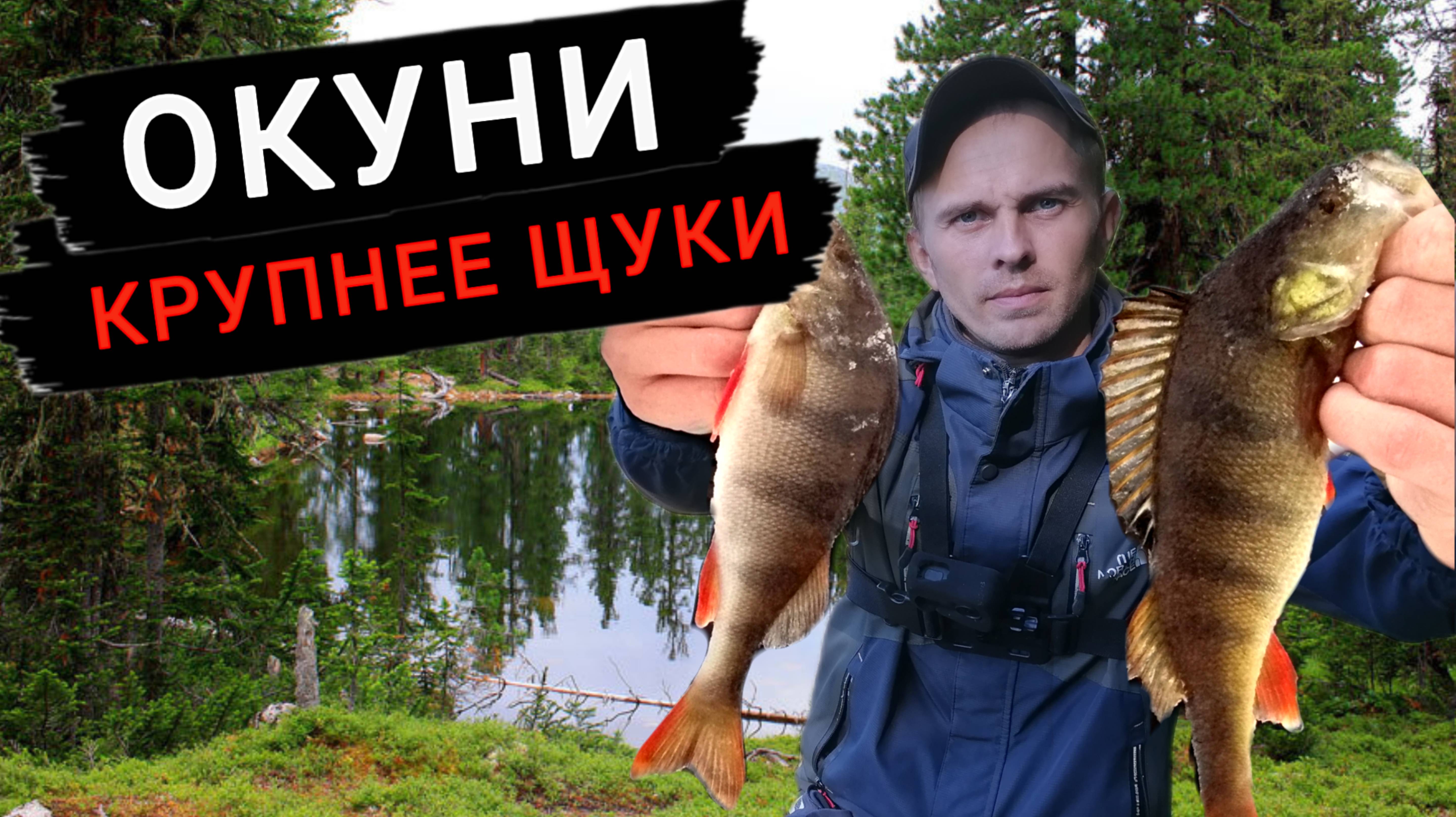 Окуни крупнее щуки. Рыбалка на спиннинг.Поход на таёжное озеро.