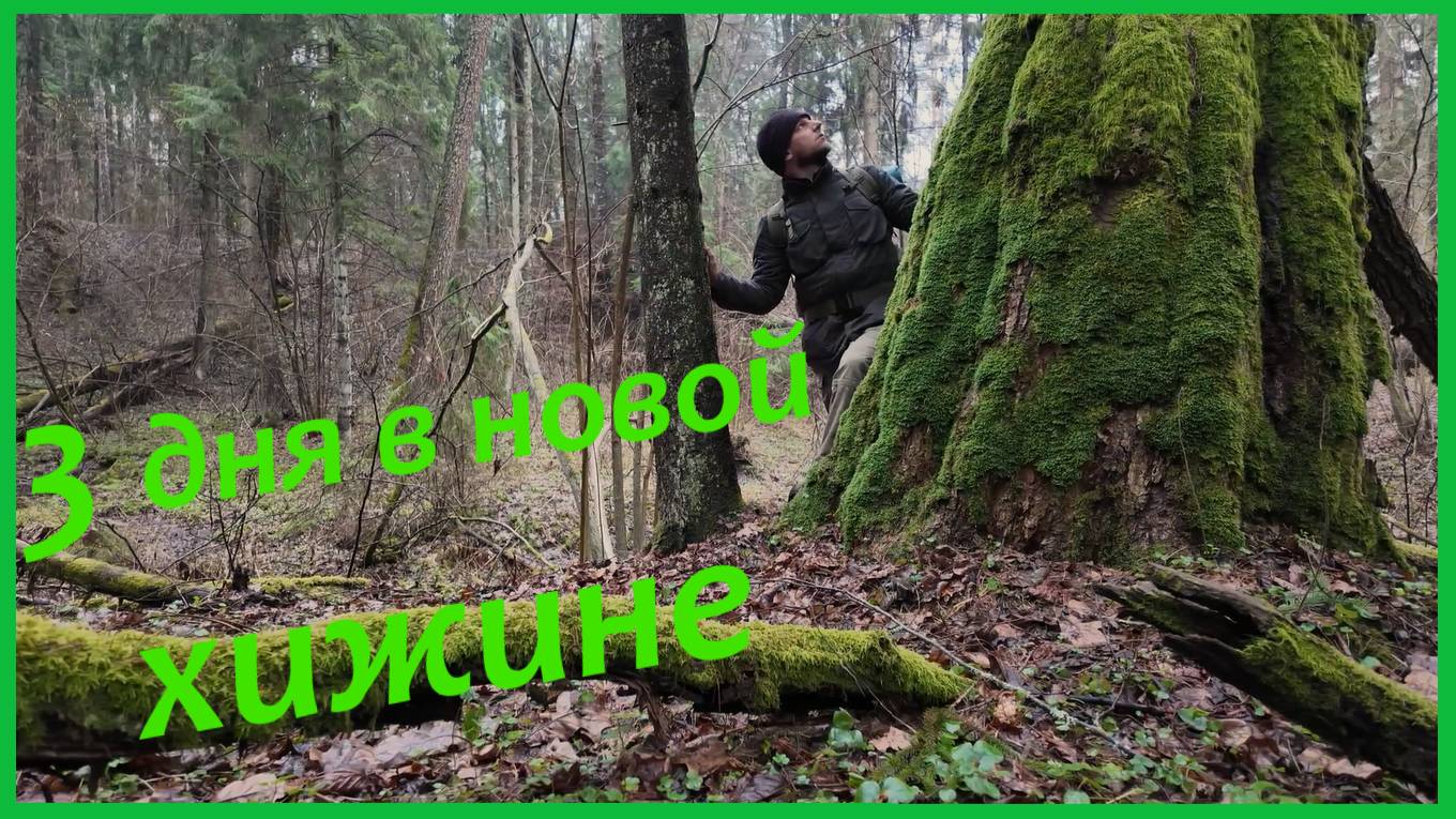 3 дня в новой хижине | Выживаю в дикой природе | Bushcraft | ASMR