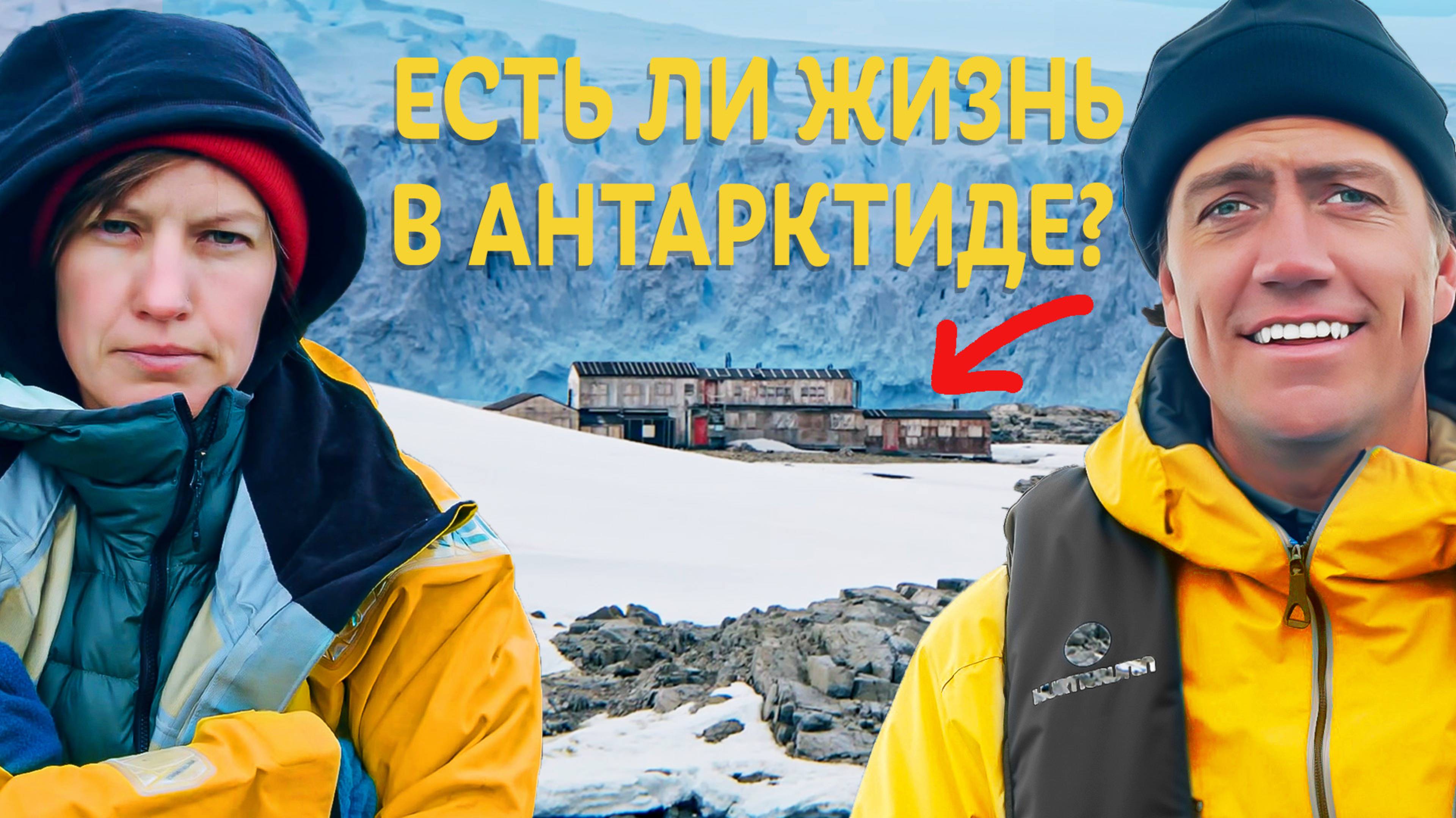 Зачем в Антарктиде стреляют в Китов?