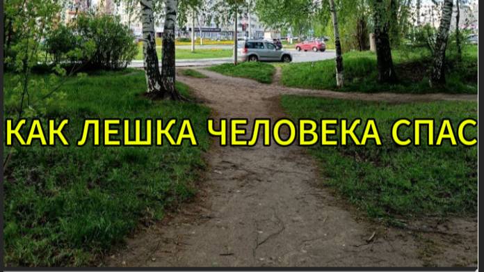 Как Лешка человека спас