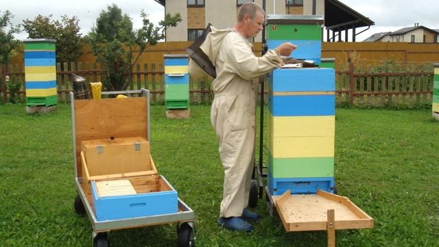 Снимаю последние магазины