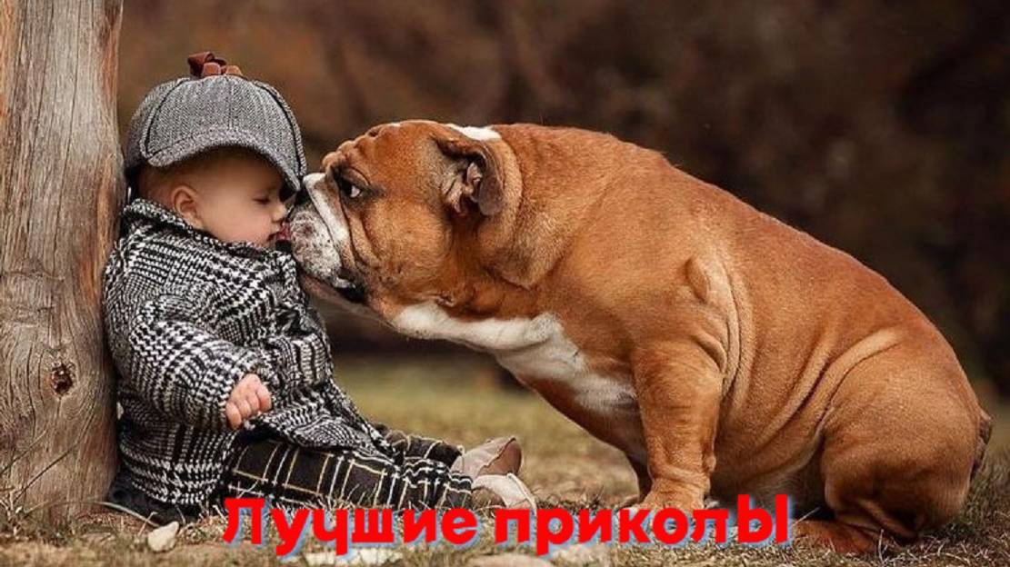 Лучшие приколы | Смех до слез | Подборка приколов 👍🔥