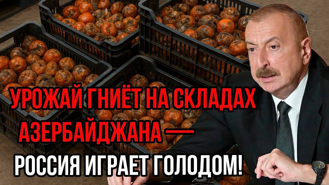 СРОЧНО Цены Рухнули Люди Плачут УРОЖАЙ ГНИЁТ на складах Азербайджана Россия играет голодом [get-save