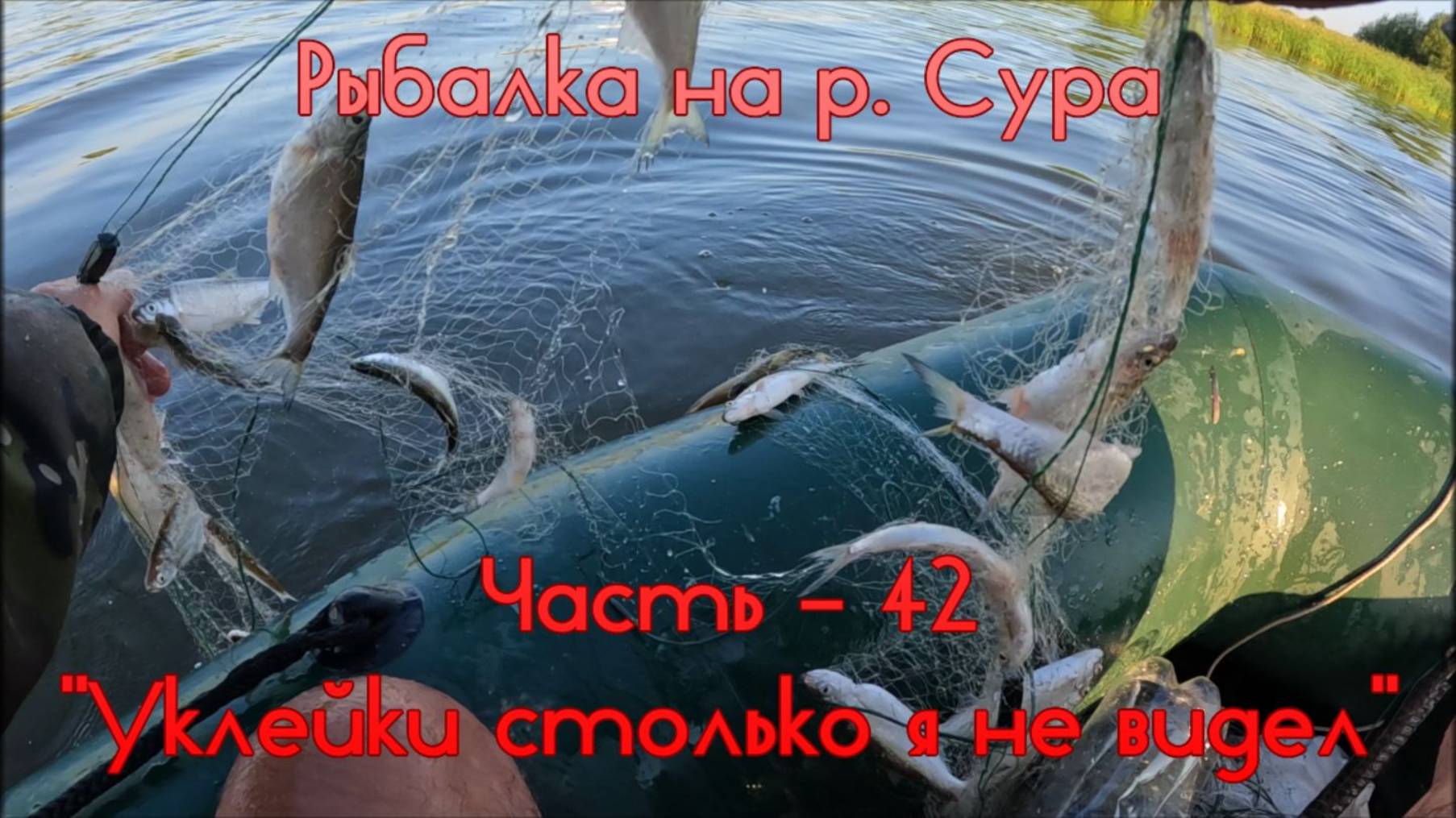Рыбалка на р. Сура. Часть - 42. "Уклейки столько я не видел".
