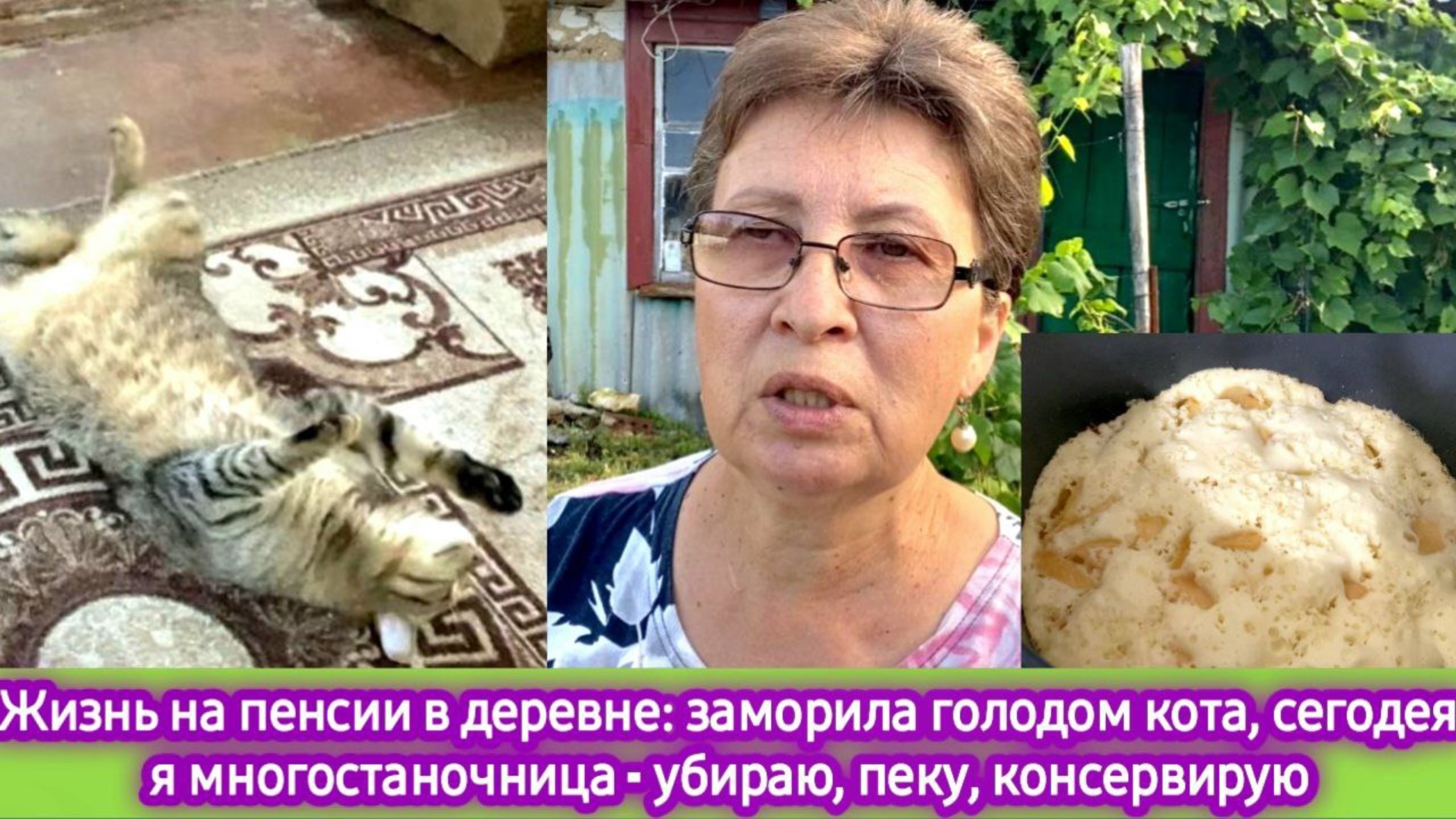 Жизнь в деревне: заморила голодом кота, сегодня я многостаночница - убираю, пеку, консервирую