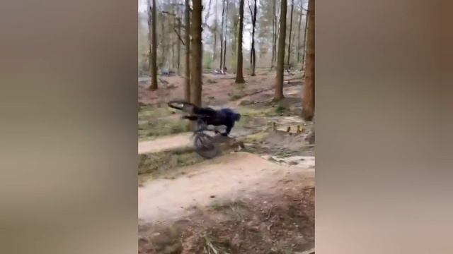 Делай так каждый день и спина не будет