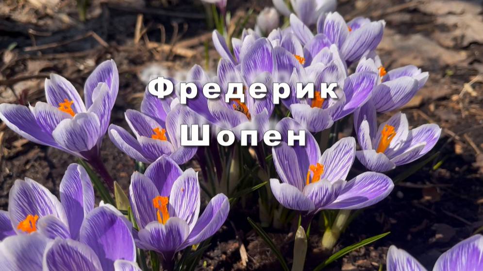 Фредерик Шопен. Ноктюрн № 2. Музыка для души