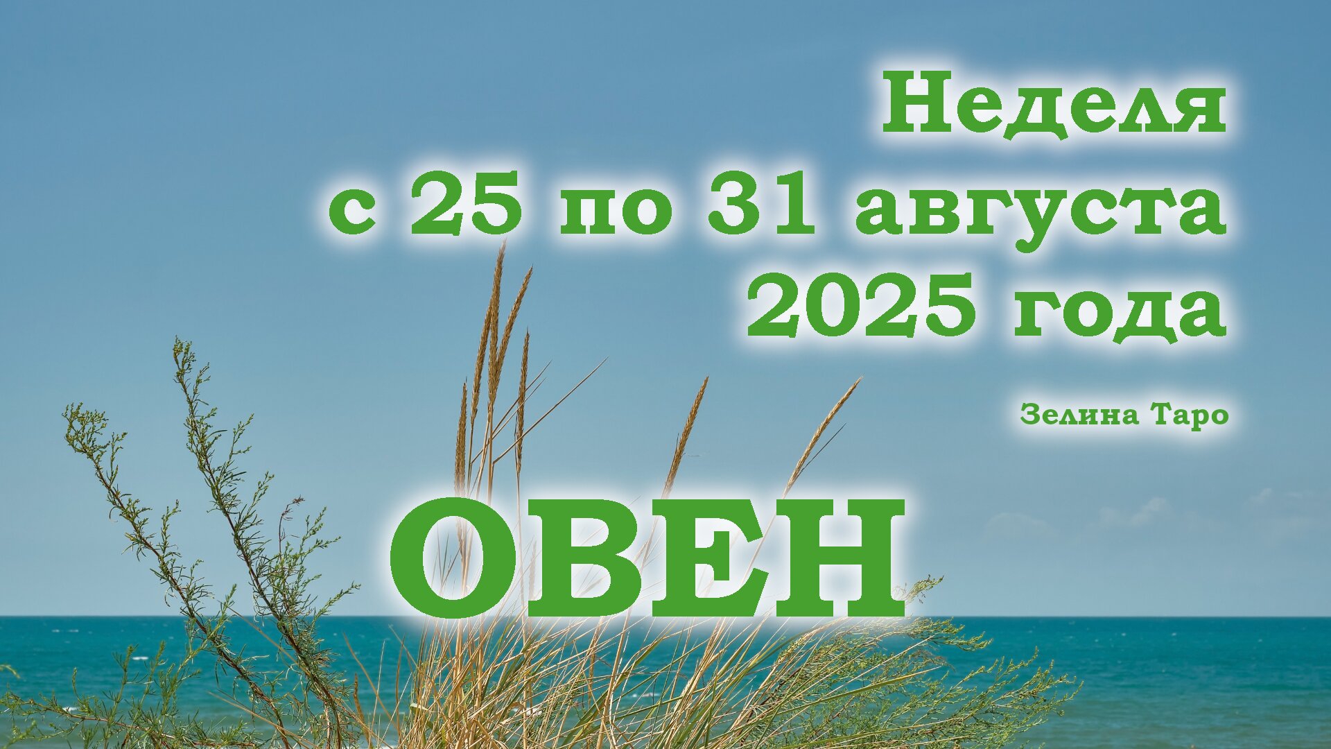 ОВЕН | Таро прогноз на неделю с 25 по 31 августа 2025 года