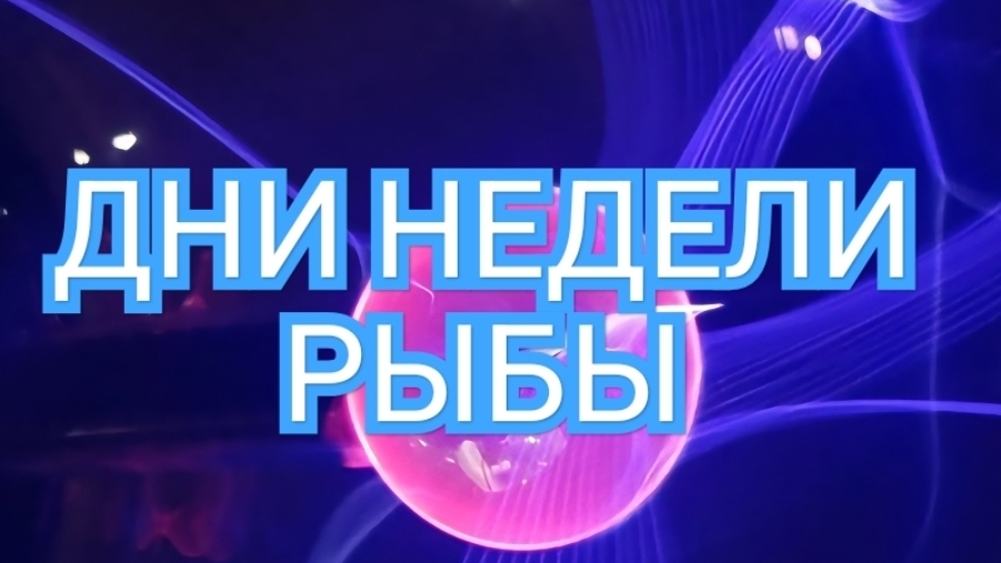 ✅️🟢✅️ТАРО ДНЕЙ С 25.08.2025 по 29.08.2025 года НЕДЕЛИ✅️🟢✅️ ЗНАК РЫБЫ💥💥💥