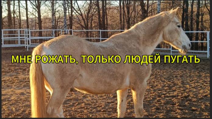 Мне рожать, только людей пугать