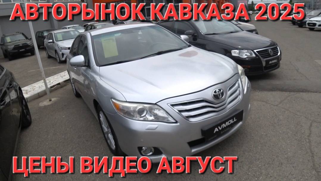 АВТОРЫНОК КАВКАЗА 2025, ЦЕНЫ ВИДЕО СЕГОДНЯ, ВЛАДИВОСТОК НА ЗАКАЗ