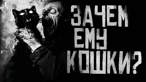 ЗАЧЕМ ЕМУ КОШКИ? Страшные истории на ночь.