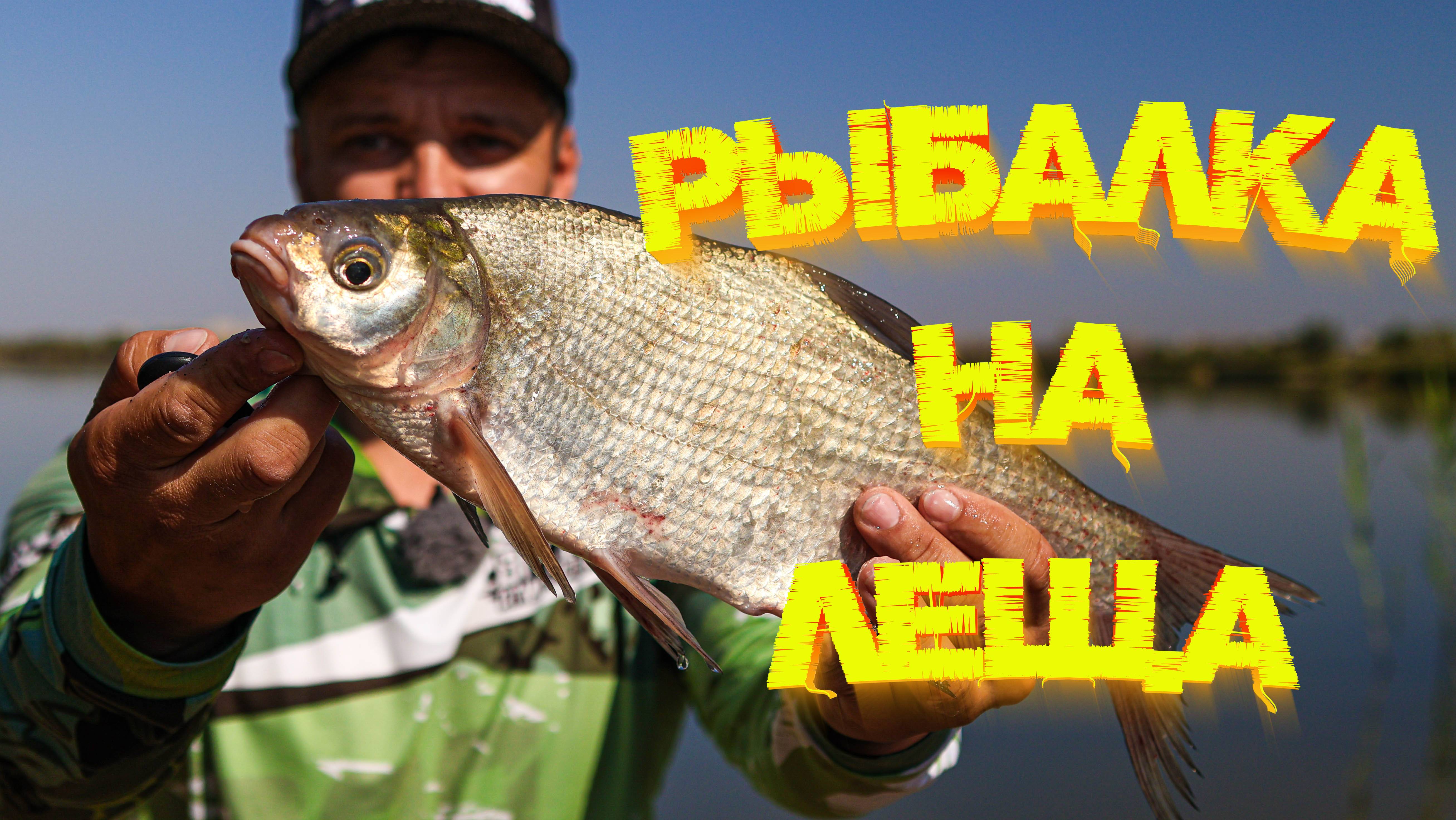 Рыбалка на ЛЕЩА 👍 Основы ловли на ФИДЕР!!!