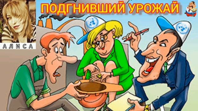 Алиса. ПОДГНИВШИЙ УРОЖАЙ