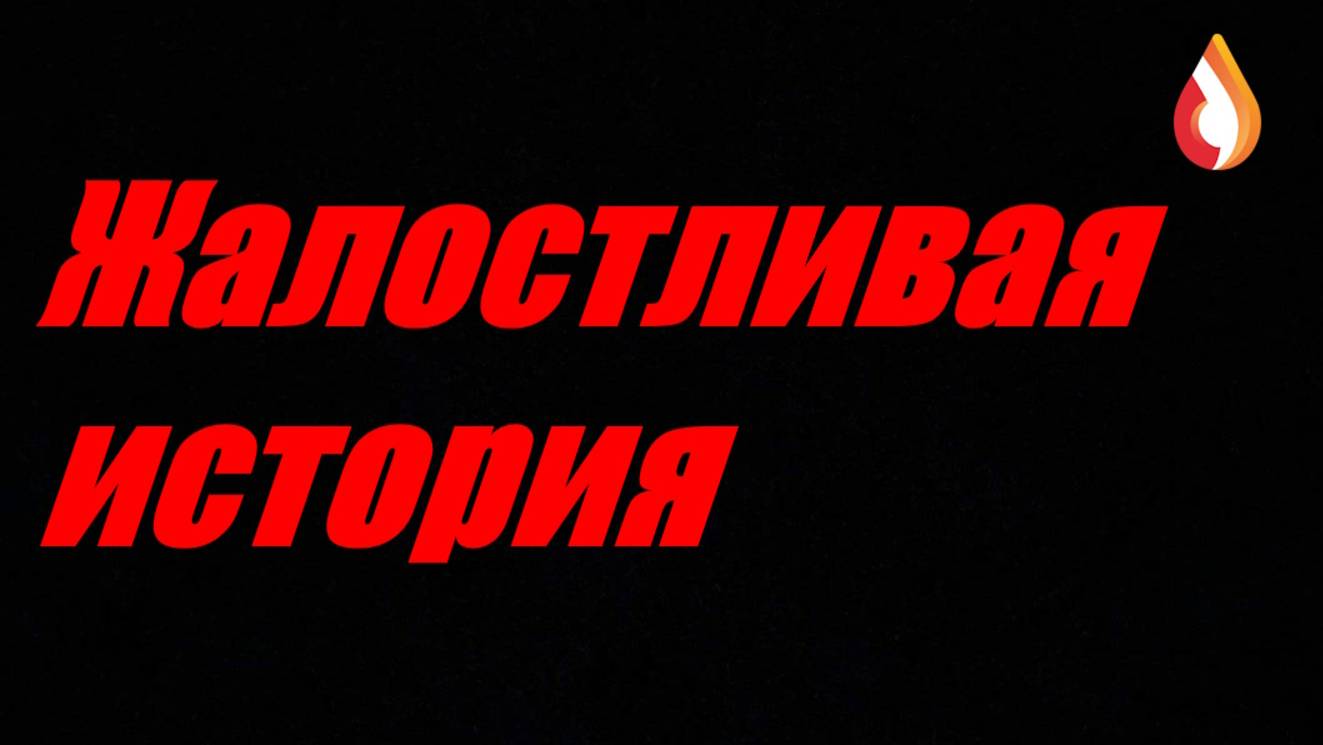 Жалостливая история