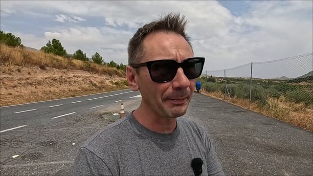 Об укр политике, Панченко, Шарий, Мосейчук, Дубинский, Дмитрук и Зубенко. 24.08.2025