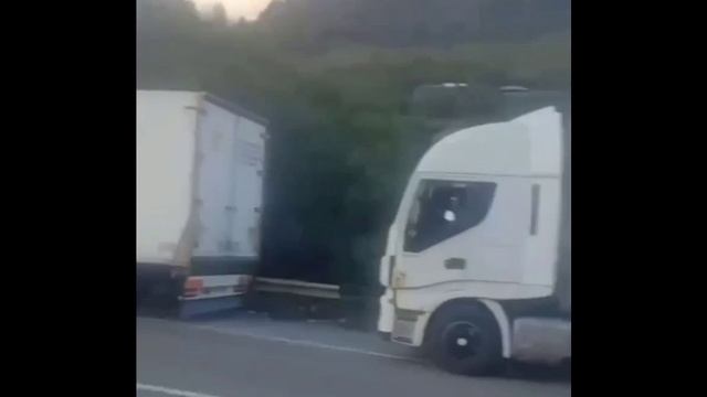 Скорость реакции на враждебность начинает приятно удивлять.