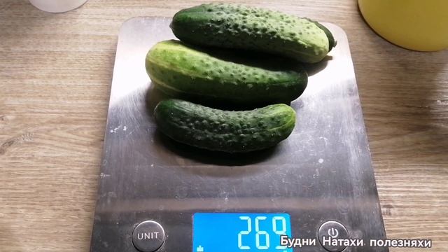 Итоги сбора в середине недели! Огурцов маловато.