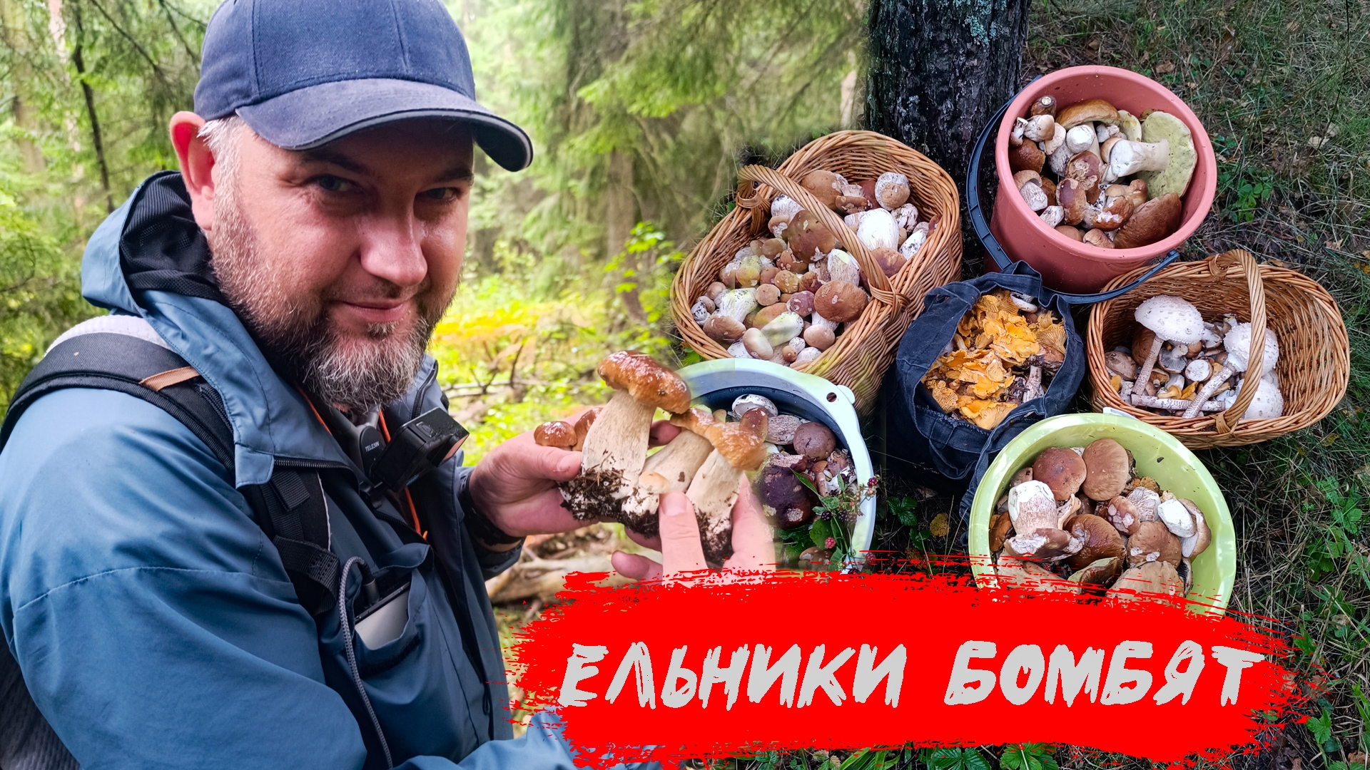 ЕЛЬНИКИ БОМБЯТ💥 Белые грибы пошли массово