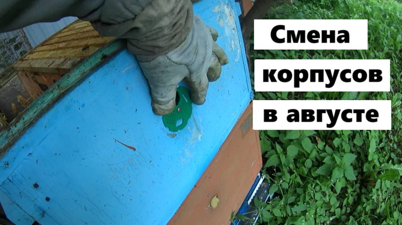 Смена корпусов в теории и практике