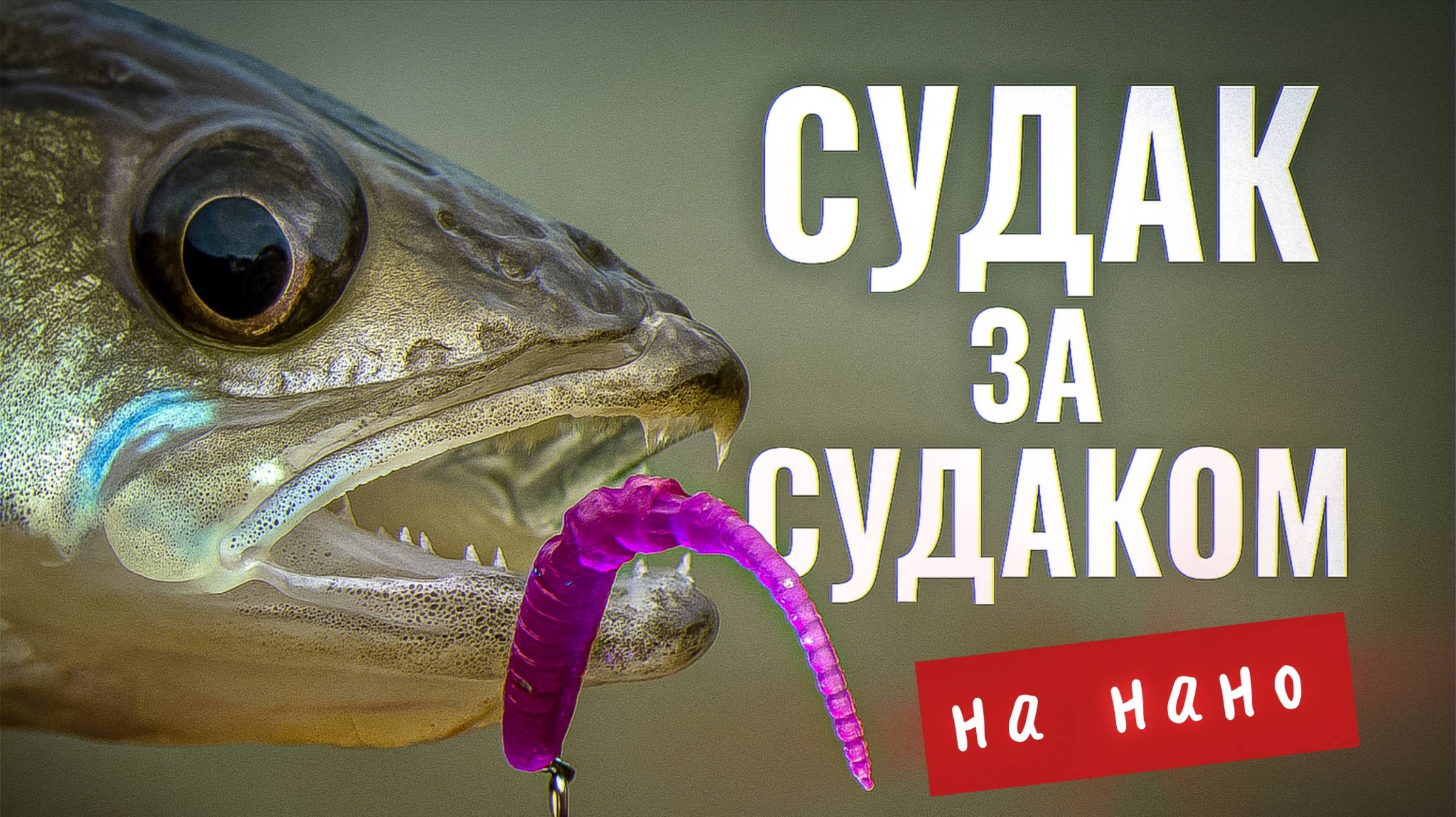 ПОПАЛ на ЖОР СУДАКА 🔥 / РЫБАЛКА на НОВОМ ОЗЕРЕ с НАНО ДЖИГОМ