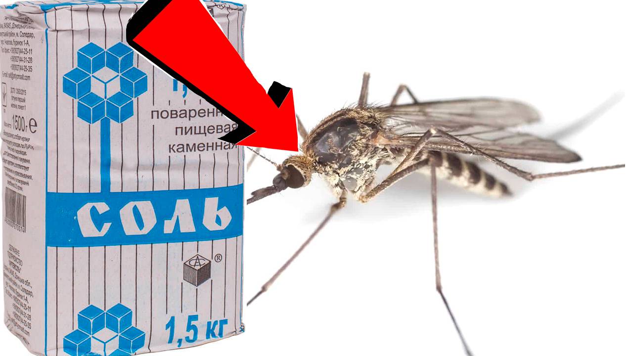 Как избавиться от комаров на квартире За 3 Секунды .!!!!!.