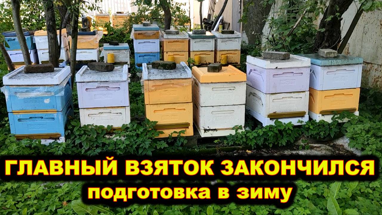 Главный взяток закончился. Готовимся в зиму.
