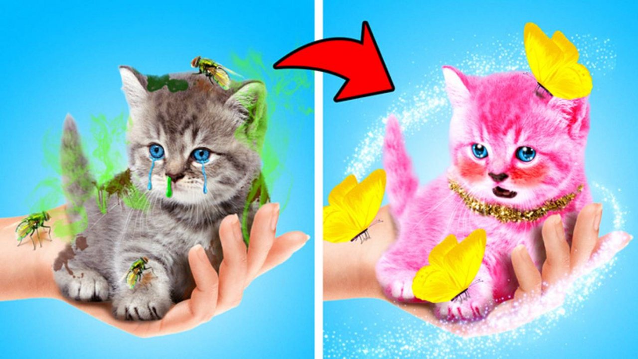 Спасаем бездомного кота 🐱 Умные гаджеты для питомцев от Ла Ла Лайф 🐾✨