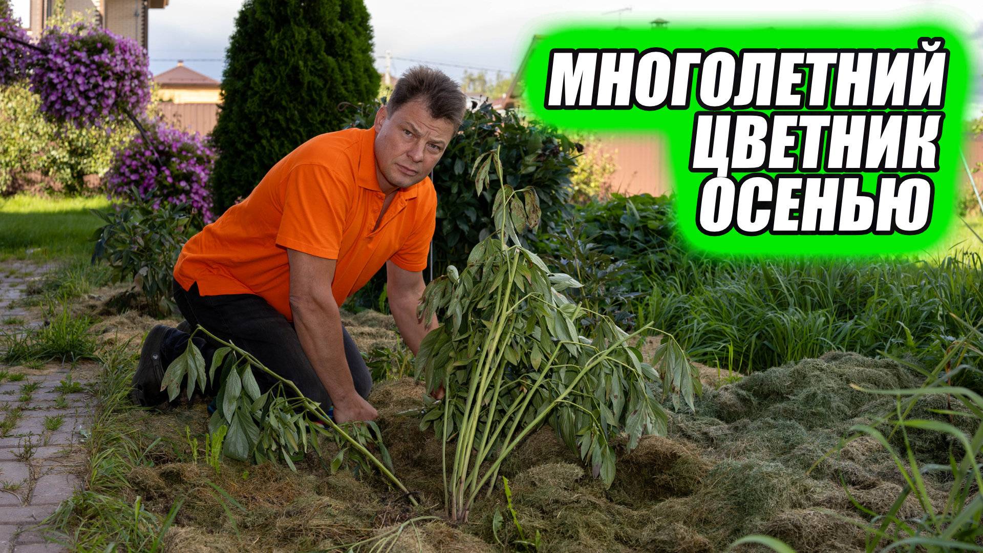 Осенний уход за многолетним цветником