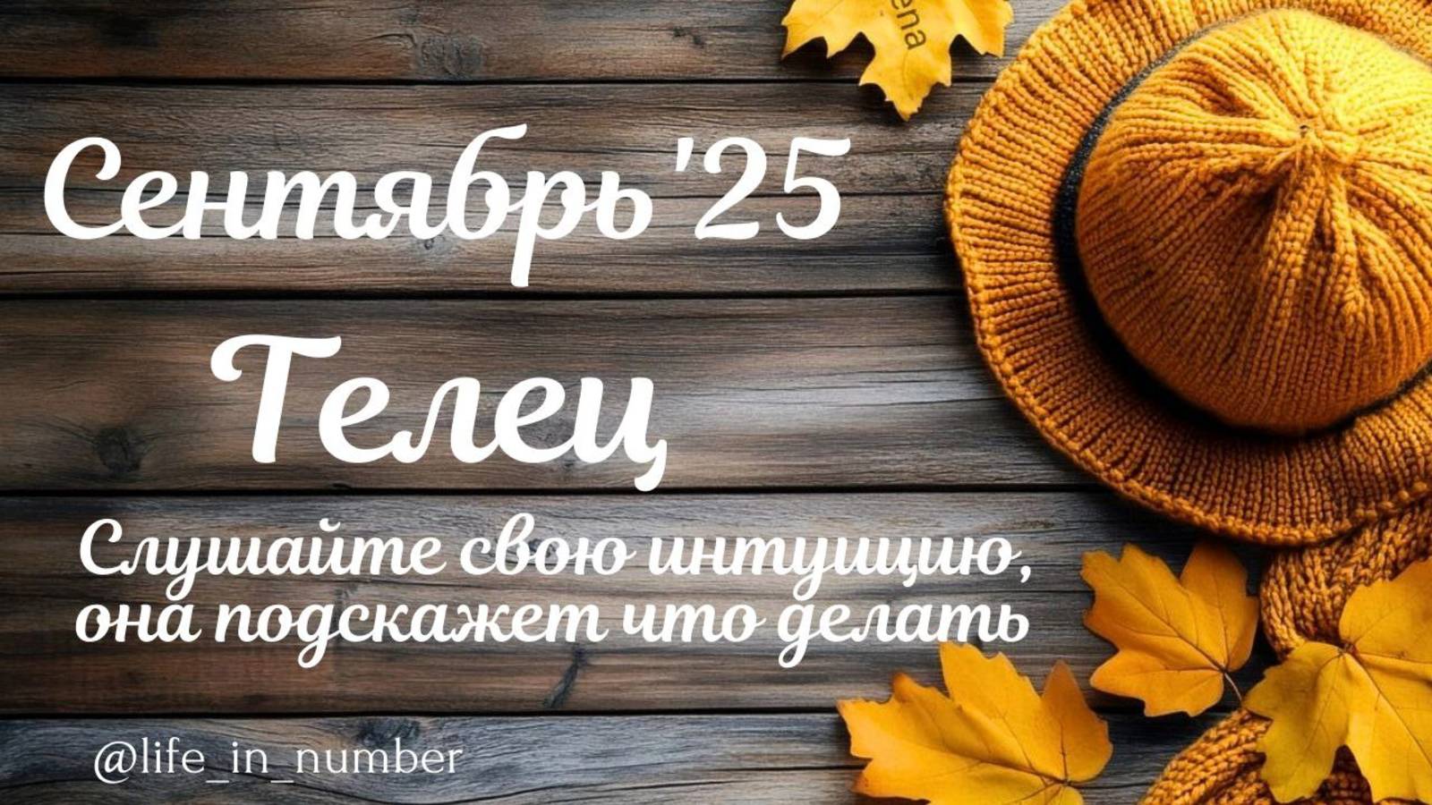 ТЕЛЕЦ СЕНТЯБРЬ 2025 ПРОГНОЗ