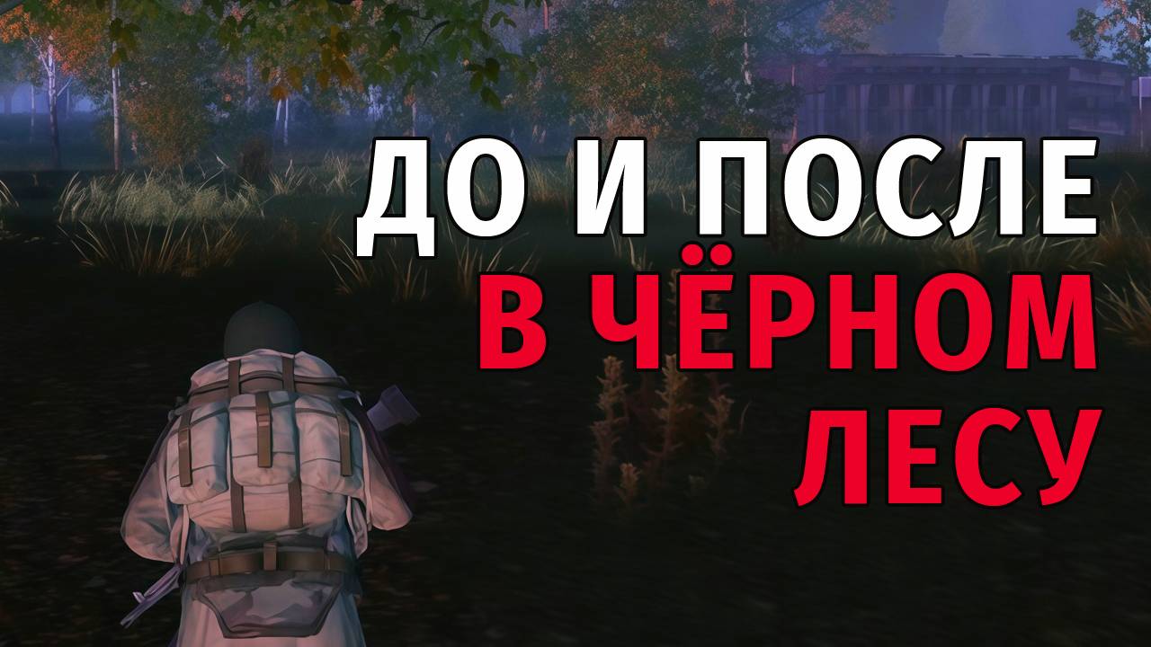 22. До и После в Чёрном лесу. Купил Benelli. Stay Out | RU2