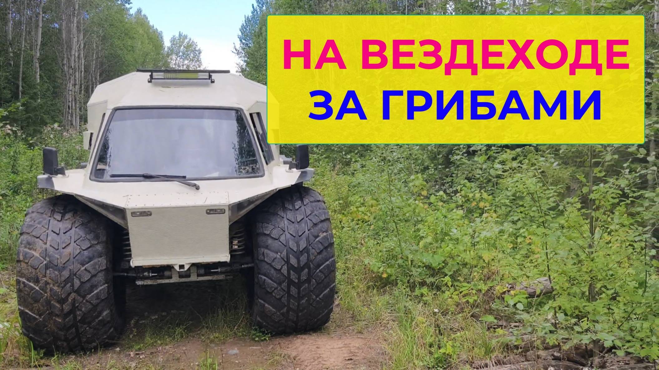 На Вездеходе, кто за Грибами, кому Покататься