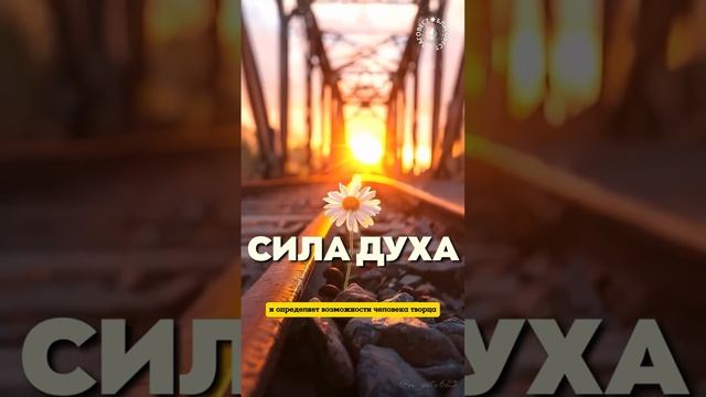 #БлагоВест ✴ СИЛА ДУХА