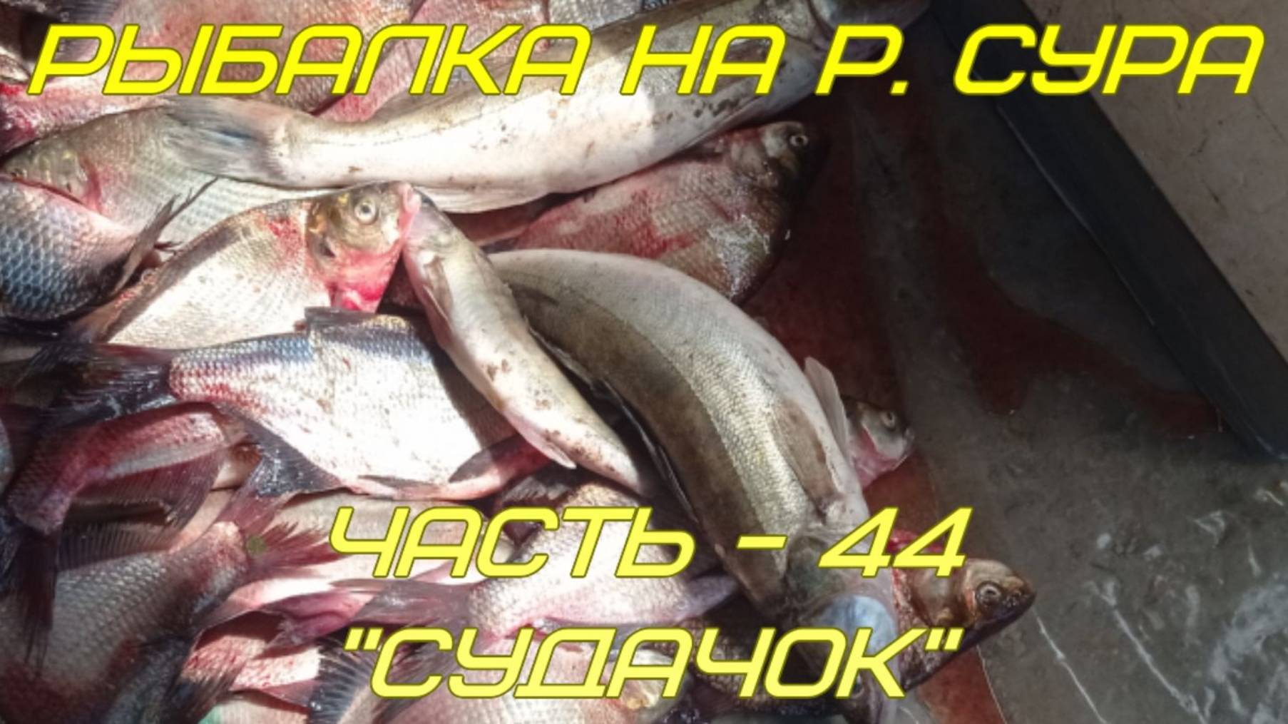 Рыбалка на р. Сура. Часть - 44. "Судачок".
