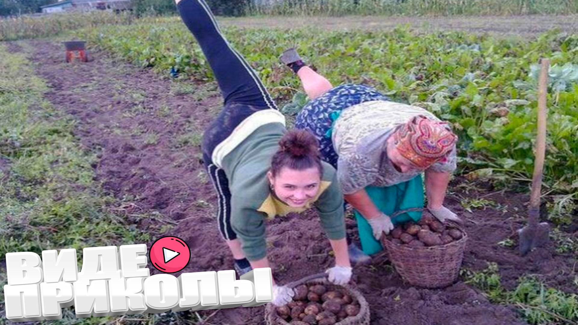 Подборка смешных видео и приколов \ Лучшие ПРИКОЛЫ 2025 ВИДЕОПРИКОЛЫ