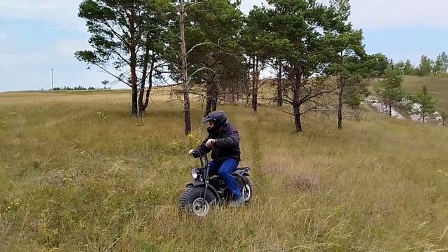 Dominator Pro - Белогорье.