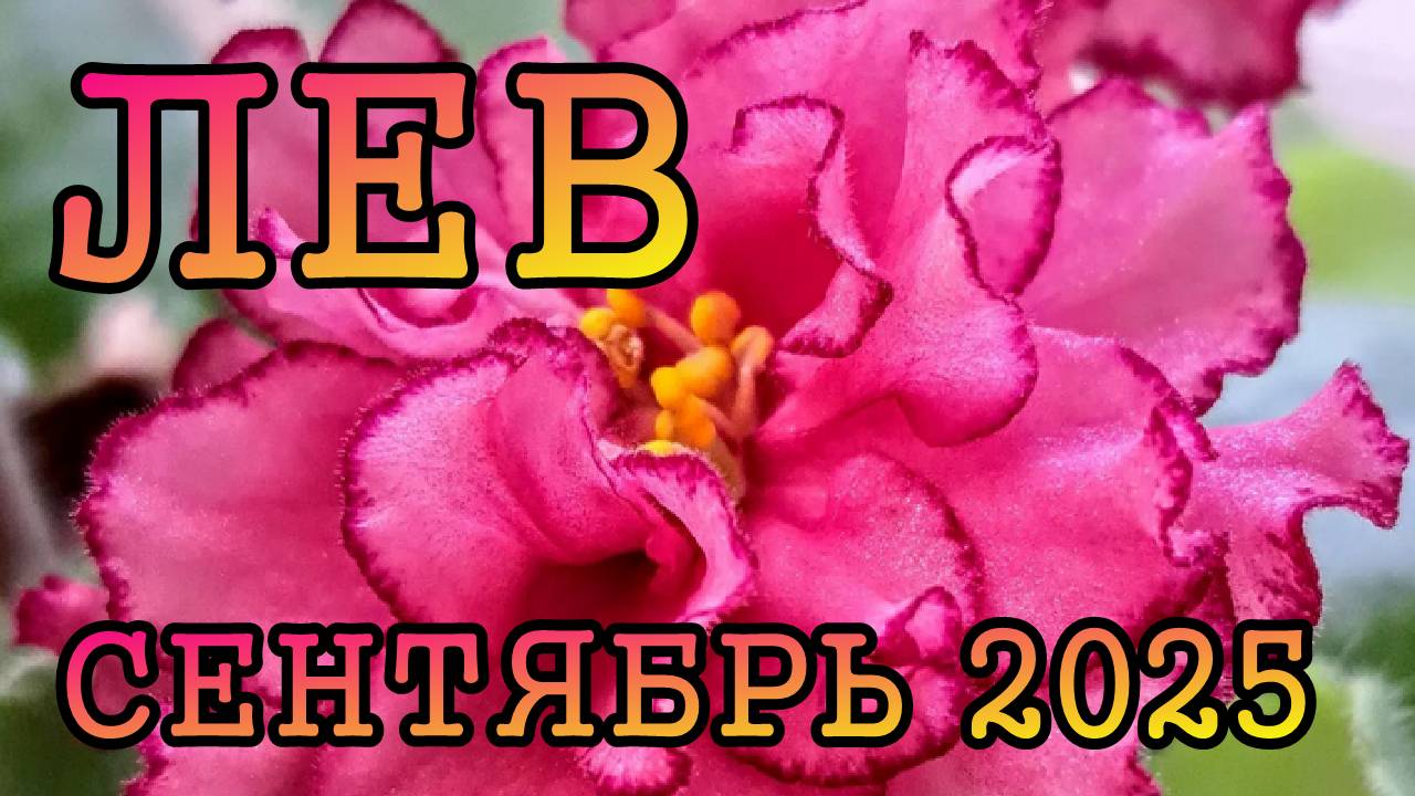 ЛЕВ таро прогноз на СЕНТЯБРЬ 2025 года.