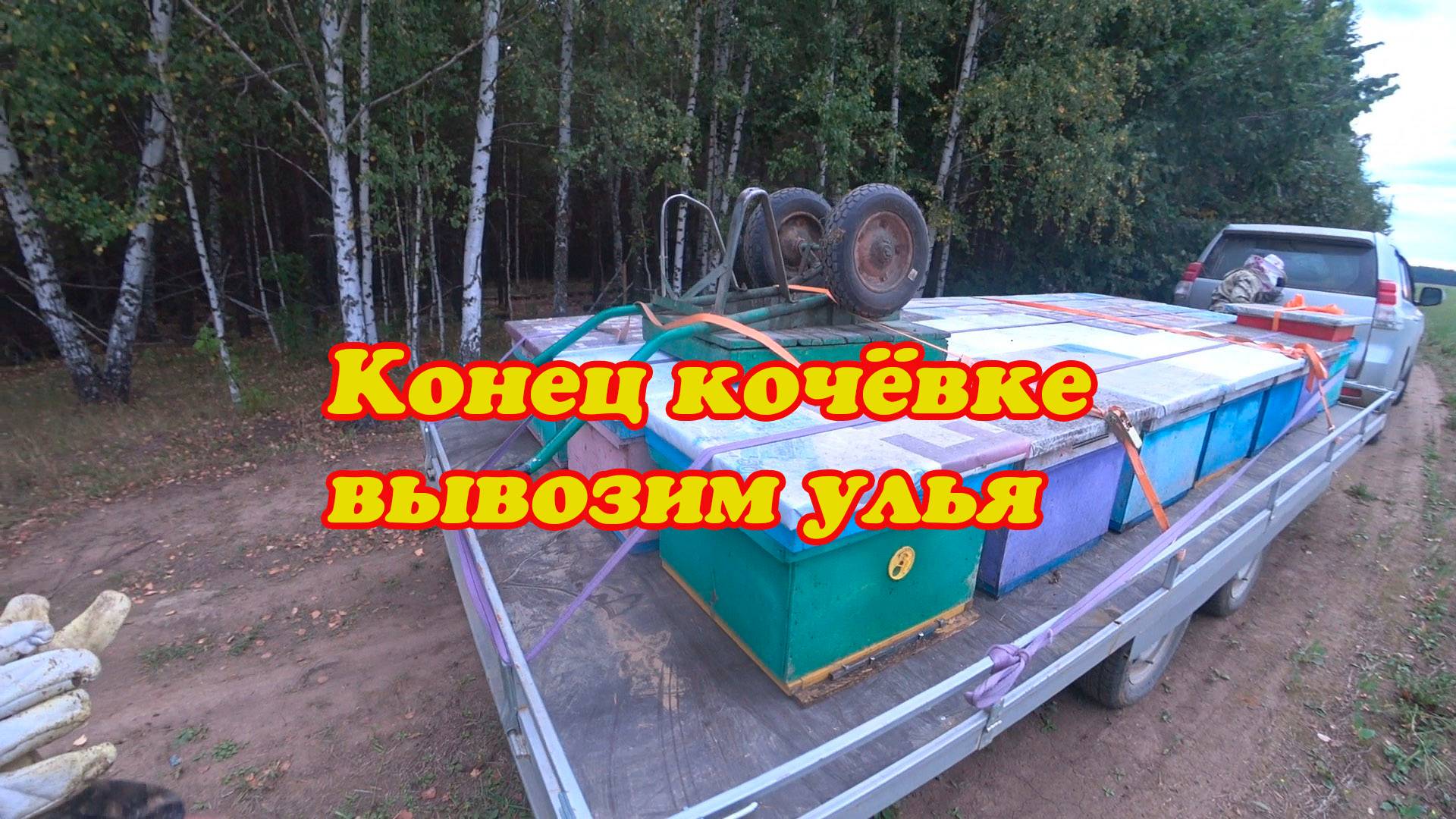 ЗАКОНЧИЛАСЬ КОЧОВКА 2025 ГОДА, ВЫВОЗИМ ПОСЛЕДНИХ ПЧЁЛ ДОМОЙ