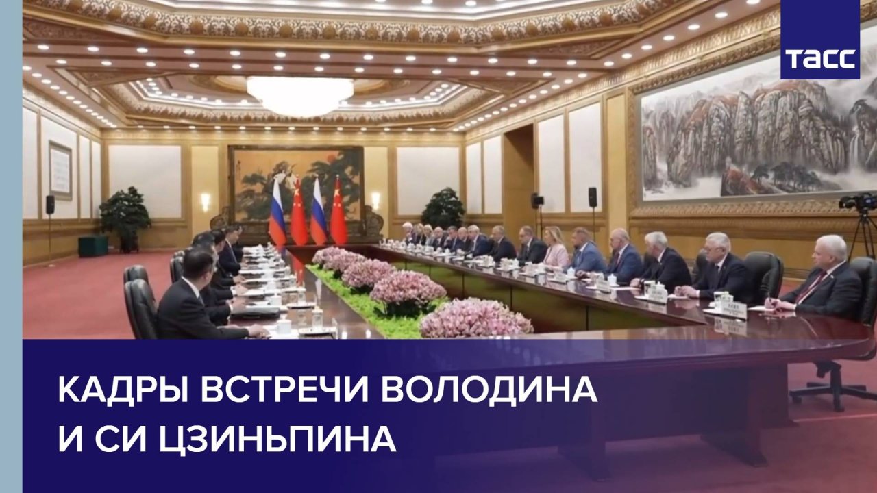 Кадры встречи Володина и Си Цзиньпина