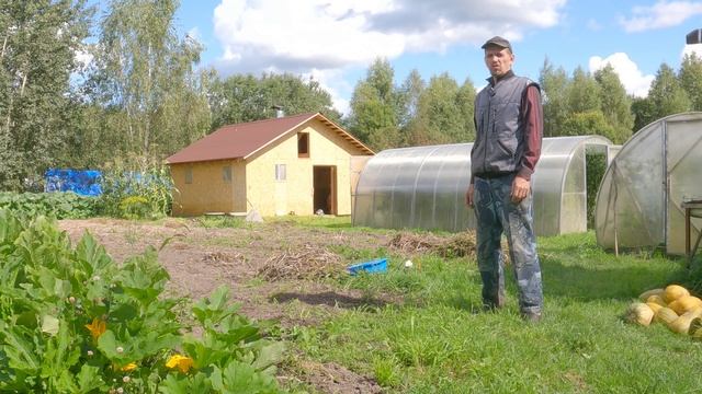 Теперь все силы на "Коровий дом"! Картофель порадовал в этом году! Жизнь в деревне