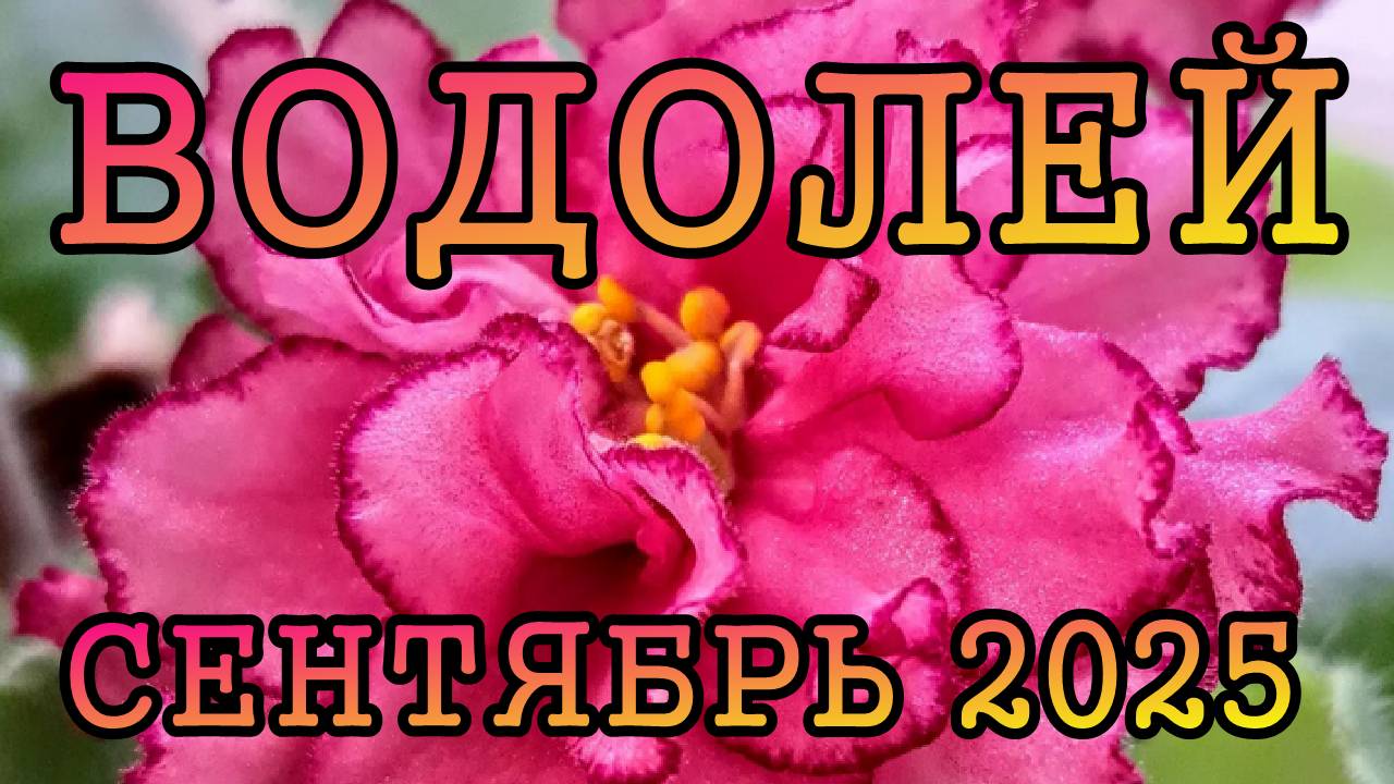 ВОДОЛЕЙ таро прогноз на СЕНТЯБРЬ 2025 года.